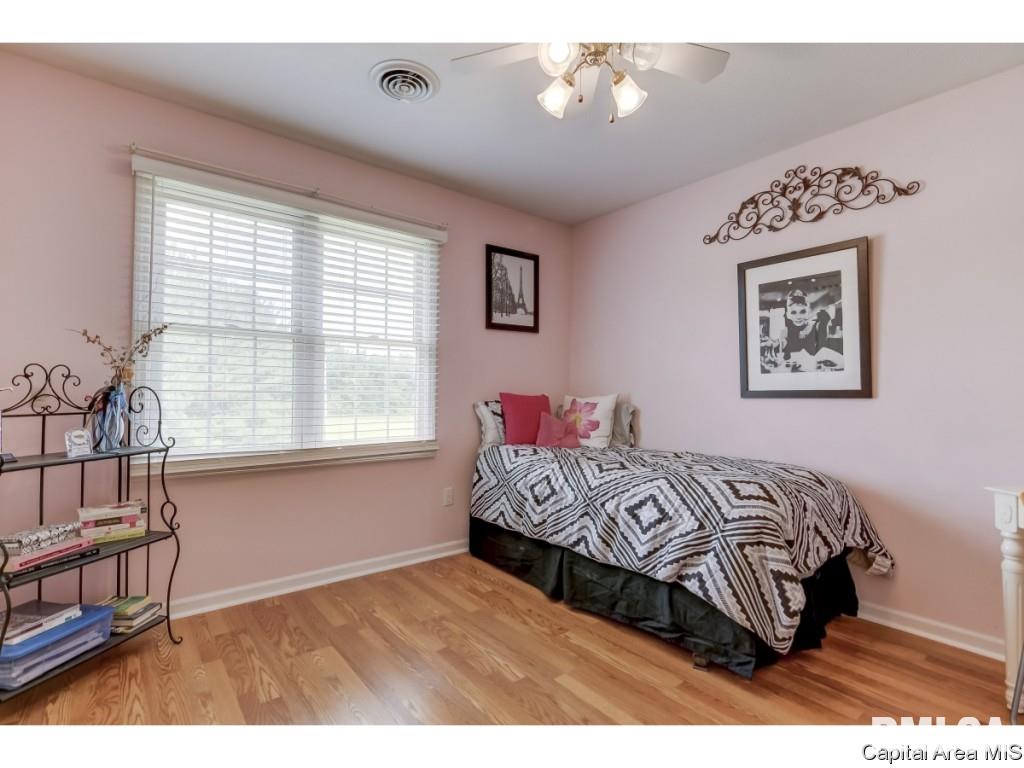 3416 Elderberry Lane Springfield, IL 62711 - Photo 22 of 34 Gallery Image 22