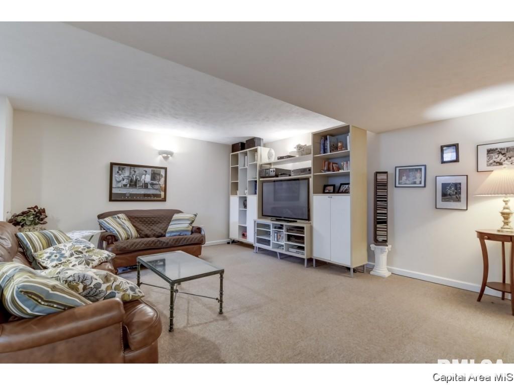 3416 Elderberry Lane Springfield, IL 62711 - Photo 31 of 34 Gallery Image 31
