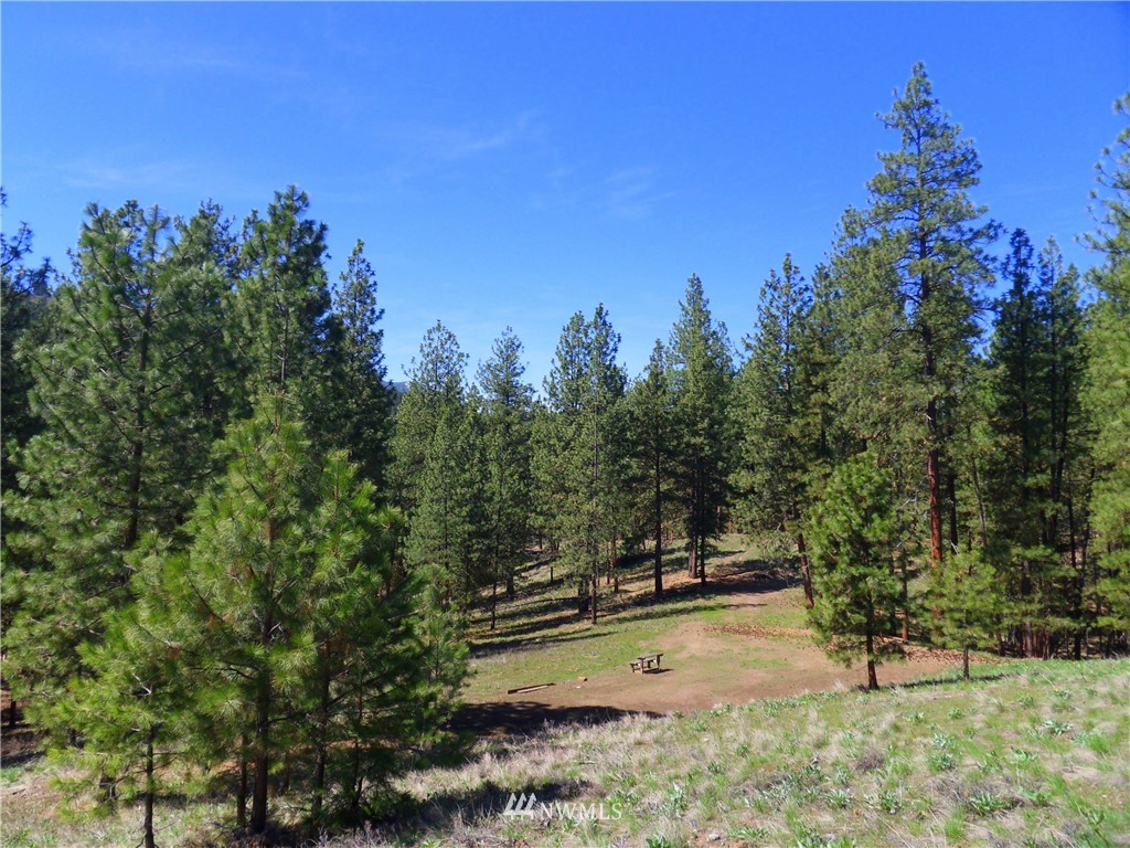 67 Lobos Run Road Winthrop, WA 98862 - Photo 14 of 22 Gallery Image 14