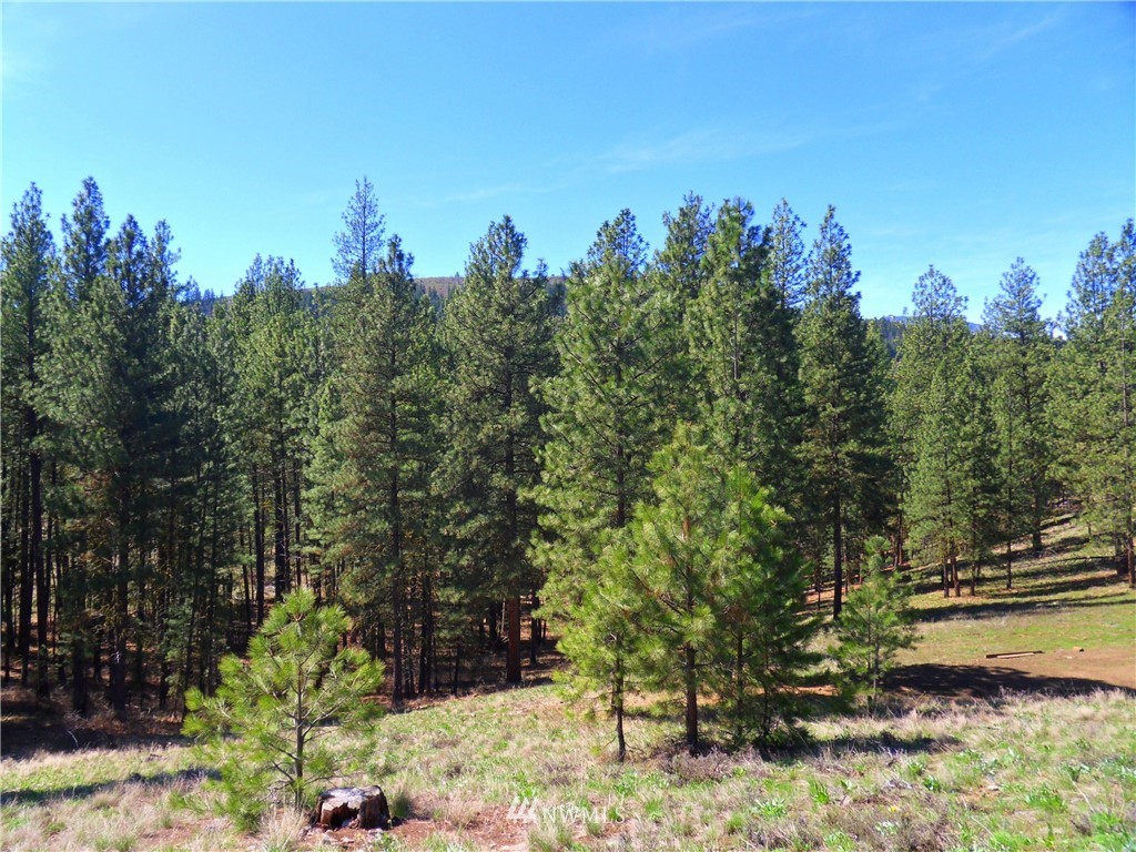 67 Lobos Run Road Winthrop, WA 98862 - Photo 3 of 22 Gallery Image 3