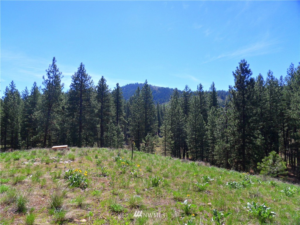 67 Lobos Run Road Winthrop, WA 98862 - Photo 5 of 22 Gallery Image 5