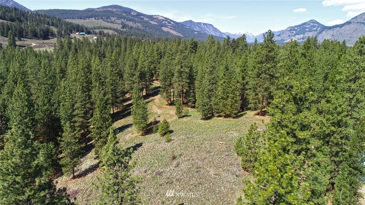 67 Lobos Run Road Winthrop, WA 98862 - Photo 8 of 22 Gallery Image 8