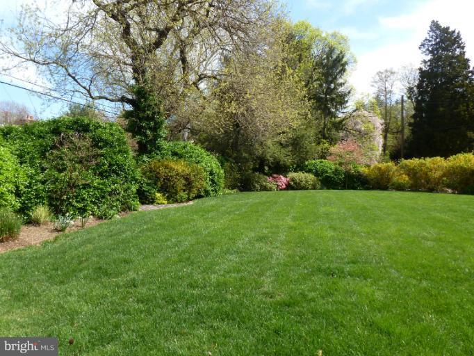 118 Witherspoon Road Baltimore, MD 21212 - Photo 12 of 30 Exceptionally large rear yard