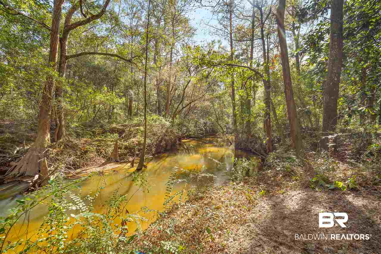 22644 River Road South Daphne, AL 36526 - Photo 35 of 46 Fish River