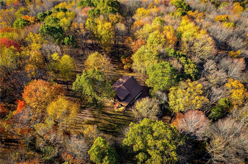 142 Cashdollar Road Mars, PA 16046 - Photo 38 of 44 a picture of tree