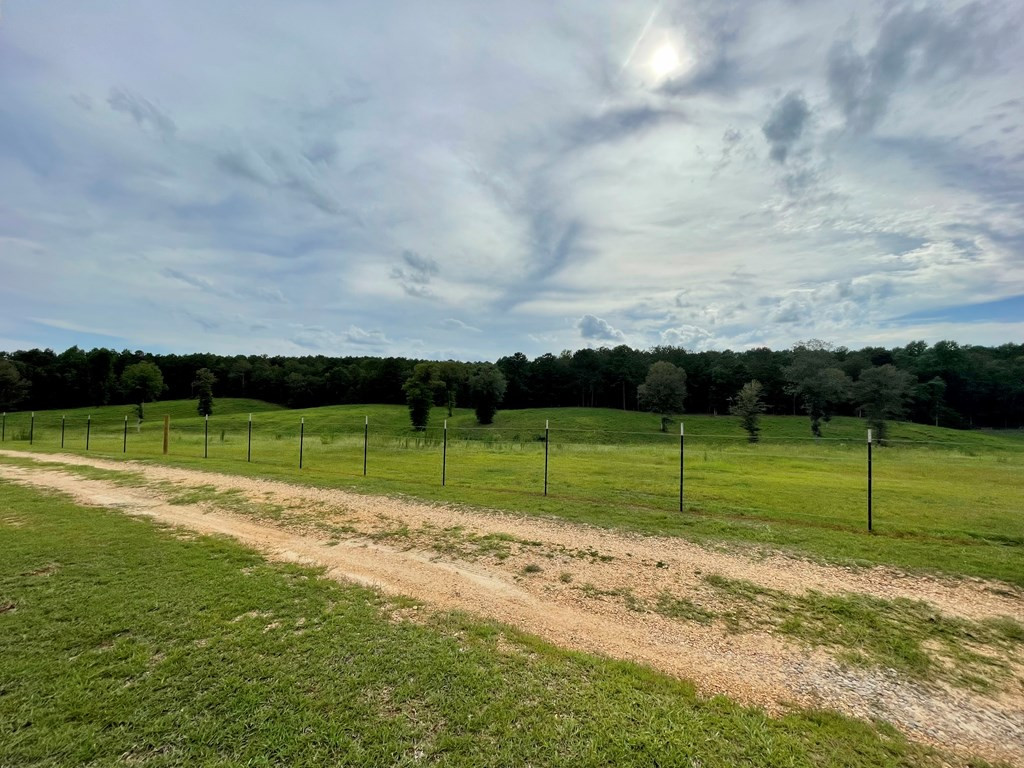 1194 Eric Price Road Tylertown, MS 39667 - Photo 11 of 59 Photo 11