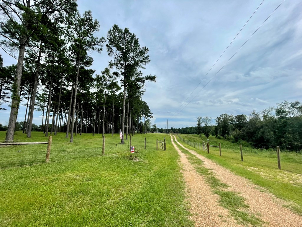 1194 Eric Price Road Tylertown, MS 39667 - Photo 3 of 59 Photo 3
