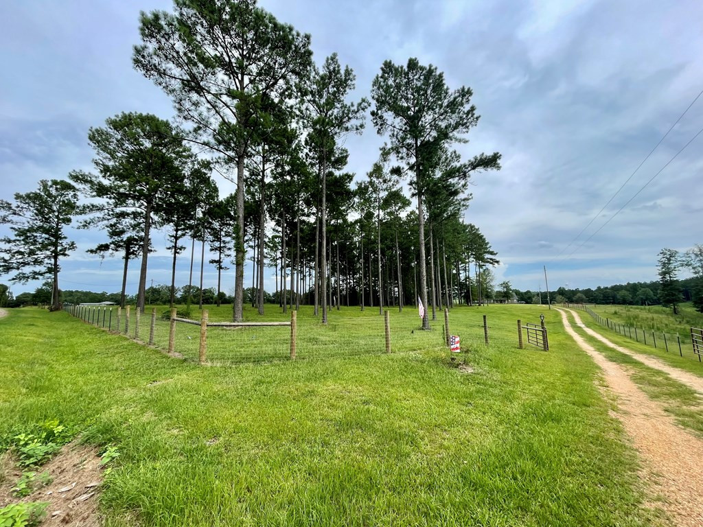 1194 Eric Price Road Tylertown, MS 39667 - Photo 4 of 59 Photo 4