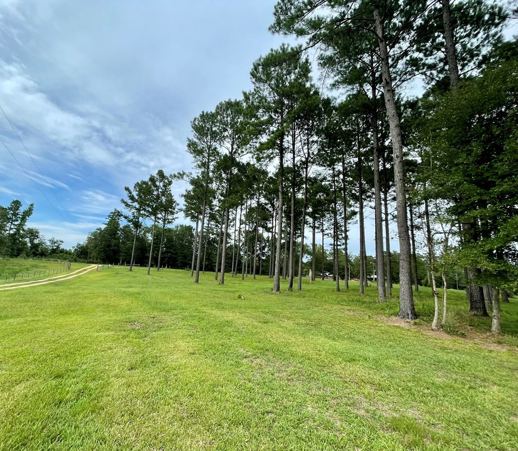 1194 Eric Price Road Tylertown, MS 39667 - Photo 5 of 59 Photo 5