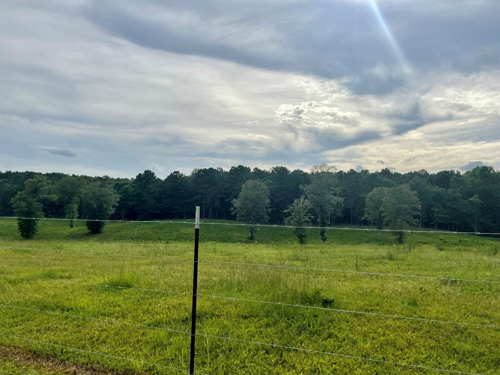 1194 Eric Price Road Tylertown, MS 39667 - Photo 54 of 59 Photo 54