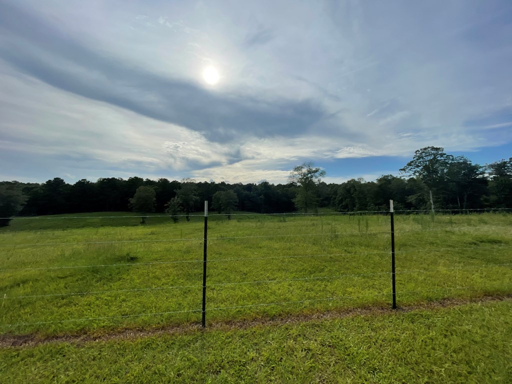 1194 Eric Price Road Tylertown, MS 39667 - Photo 55 of 59 Photo 55