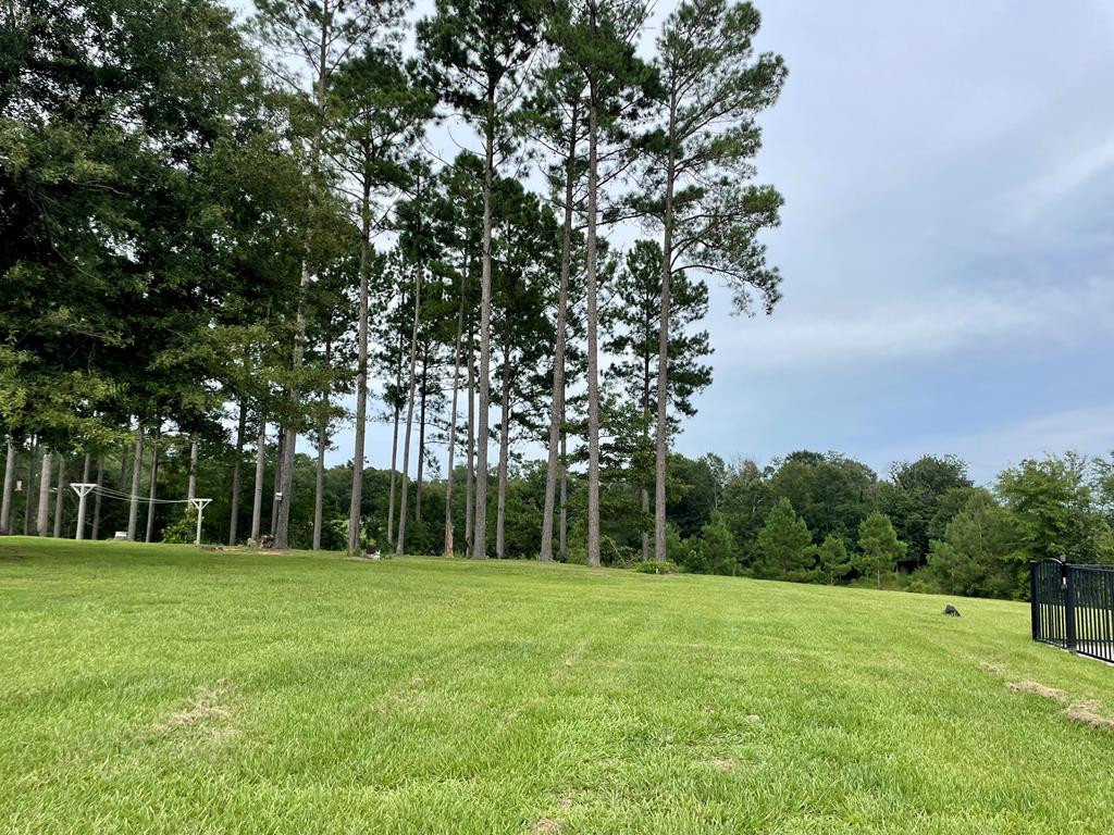 1194 Eric Price Road Tylertown, MS 39667 - Photo 56 of 59 Photo 56