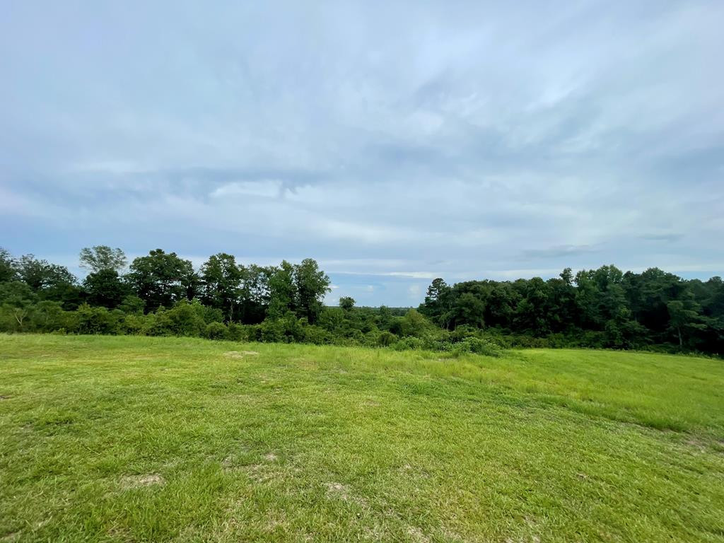 1194 Eric Price Road Tylertown, MS 39667 - Photo 58 of 59 Photo 58