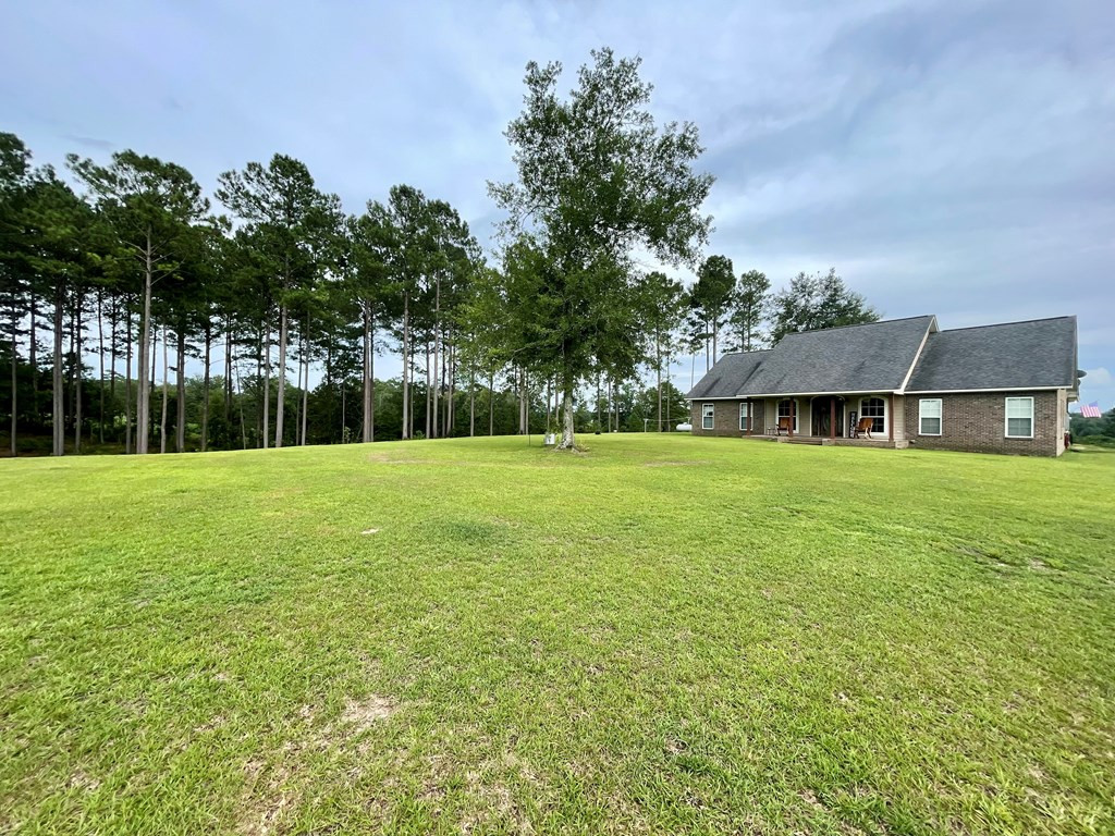 1194 Eric Price Road Tylertown, MS 39667 - Photo 6 of 59 Photo 6