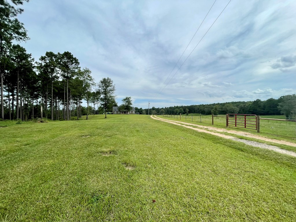 1194 Eric Price Road Tylertown, MS 39667 - Photo 7 of 59 Photo 7