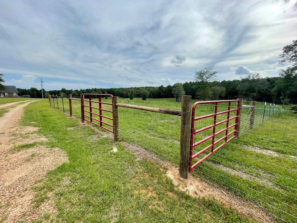 1194 Eric Price Road Tylertown, MS 39667 - Photo 8 of 59 Photo 8