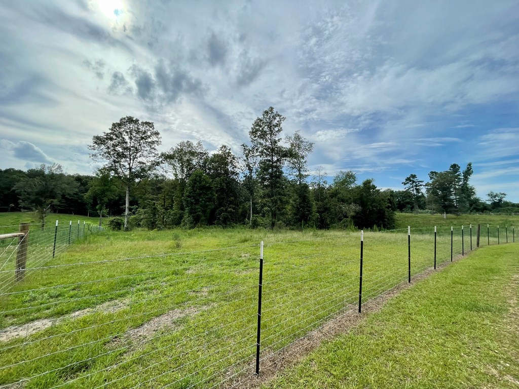 1194 Eric Price Road Tylertown, MS 39667 - Photo 9 of 59 Photo 9