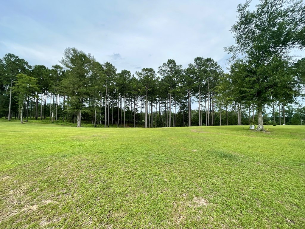 1194 Eric Price Road Tylertown, MS 39667 - Photo 10 of 59 Photo 10