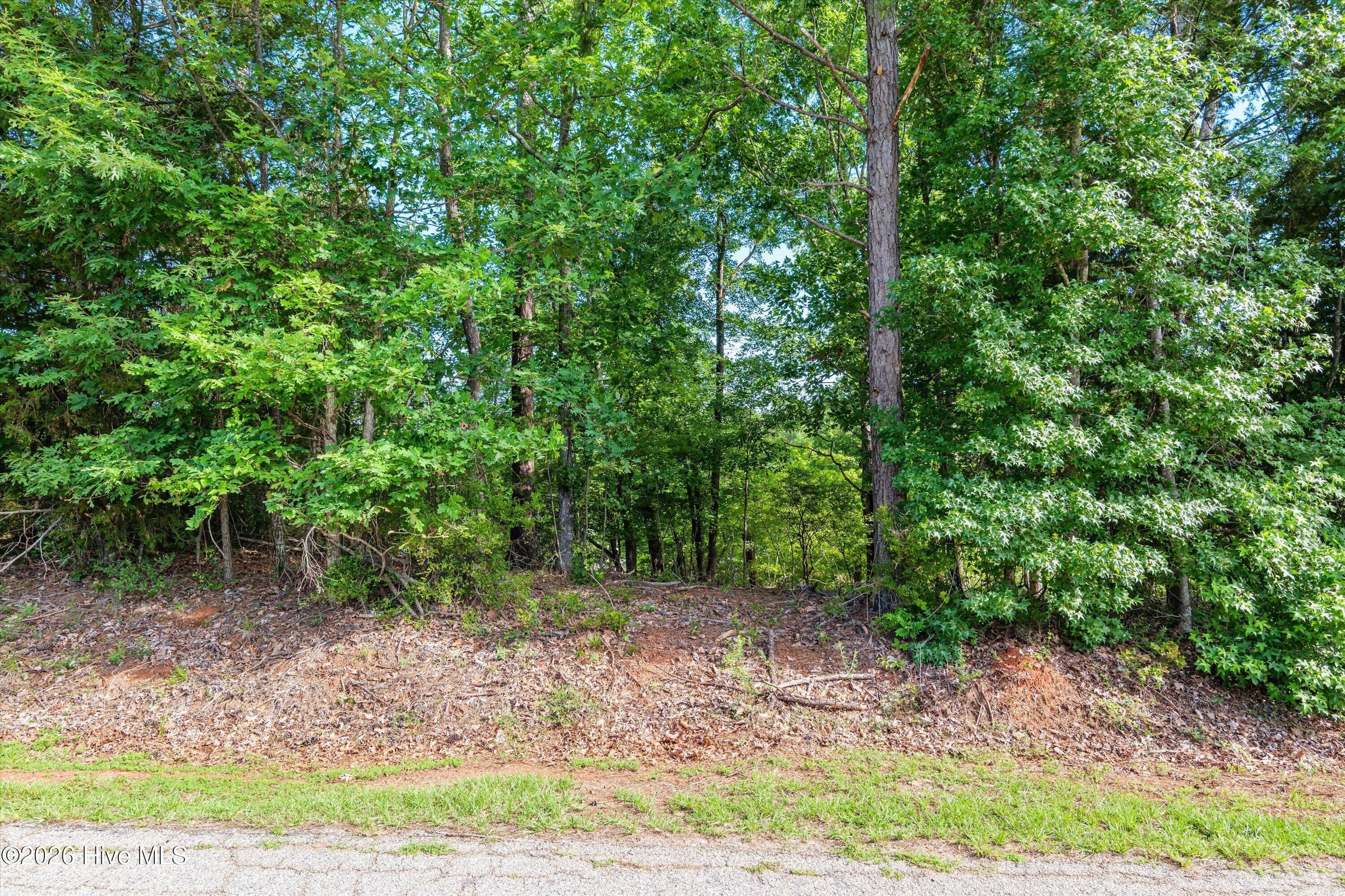 280 Lee Drive Modoc, SC 29838 - Photo 32 of 32