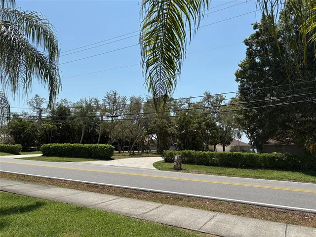 a view of a yard and a palm tree