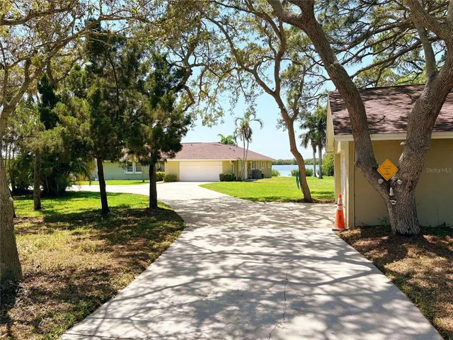 a view of a yard with plants and a large tree