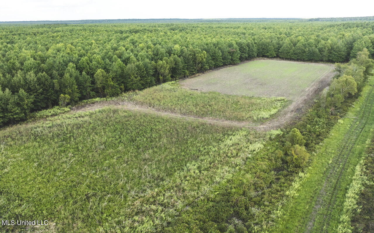 2 Oil Well Road Cary, MS 39054 - Photo 4 of 43 dji_0369