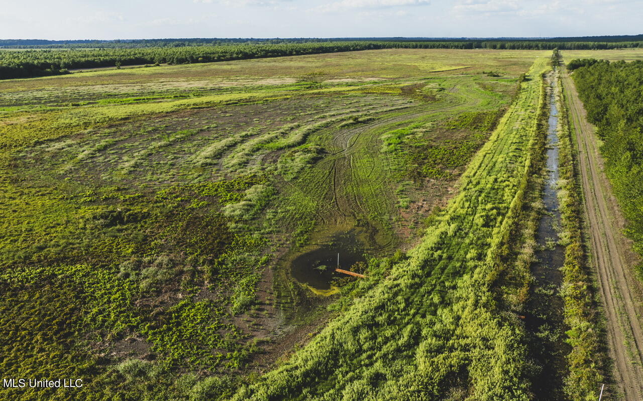 2 Oil Well Road Cary, MS 39054 - Photo 7 of 43 dji_0363