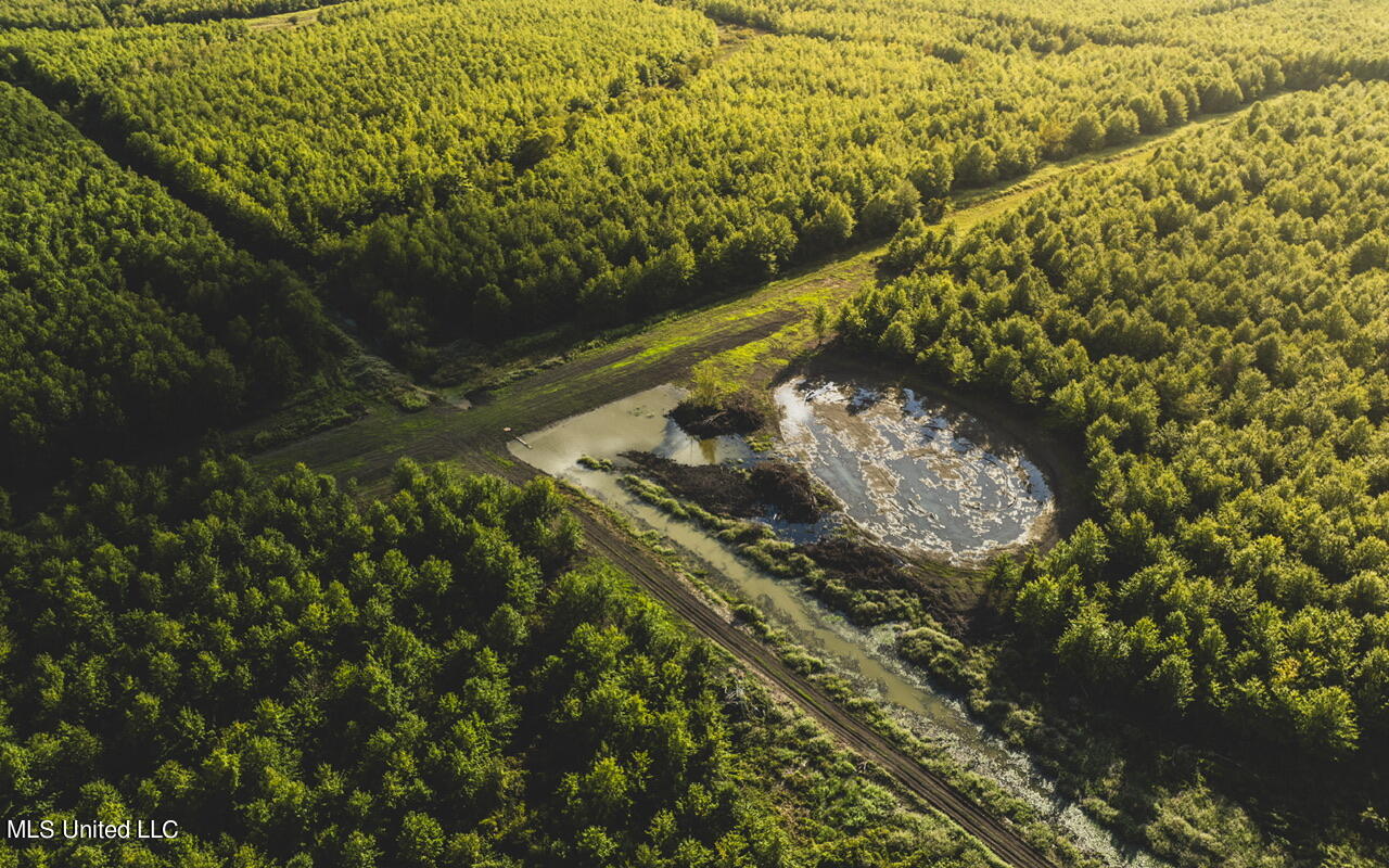 2 Oil Well Road Cary, MS 39054 - Photo 10 of 43 dji_0358