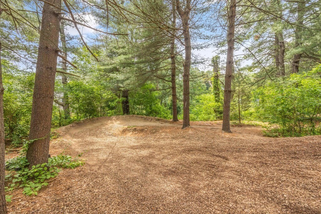 61 Burlington Street Lexington, MA 02420 - Photo 32 of 37