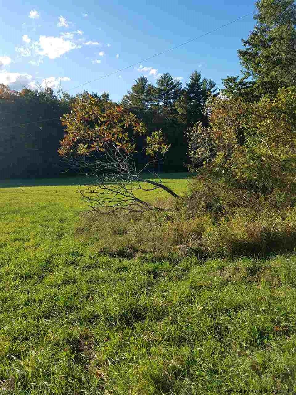 Lot 4 Lot Road Kerhonkson, NY 12446 - Photo 2 of 3 Photo 2