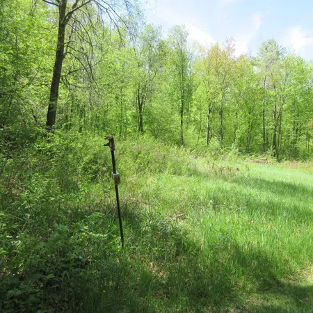 $283,500 | Xxx 810th Avenue, Menomonie, WI 54751