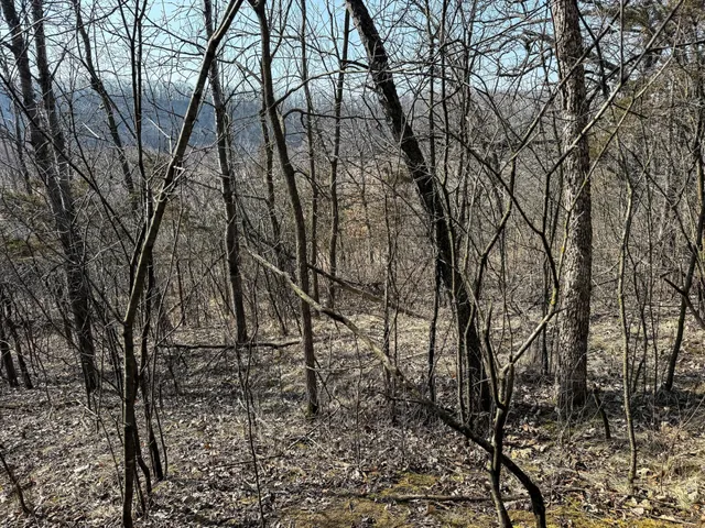 $900,000 | 27466 County 5 Boulevard, Red Wing, MN 55066