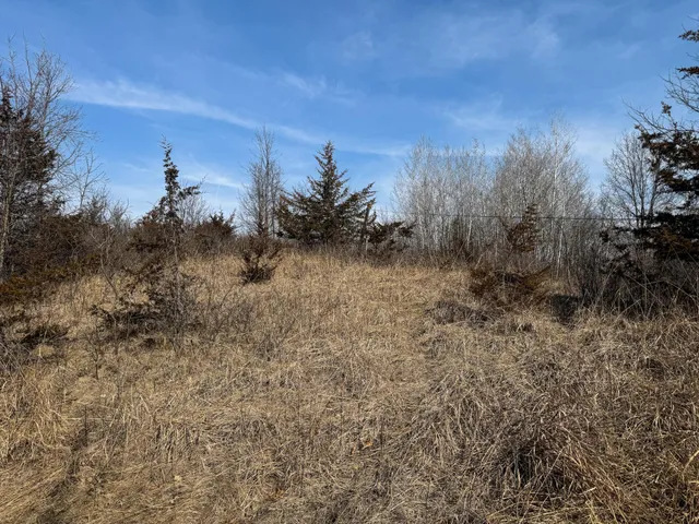 $900,000 | 27466 County 5 Boulevard, Red Wing, MN 55066