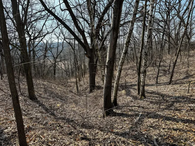 $900,000 | 27466 County 5 Boulevard, Red Wing, MN 55066