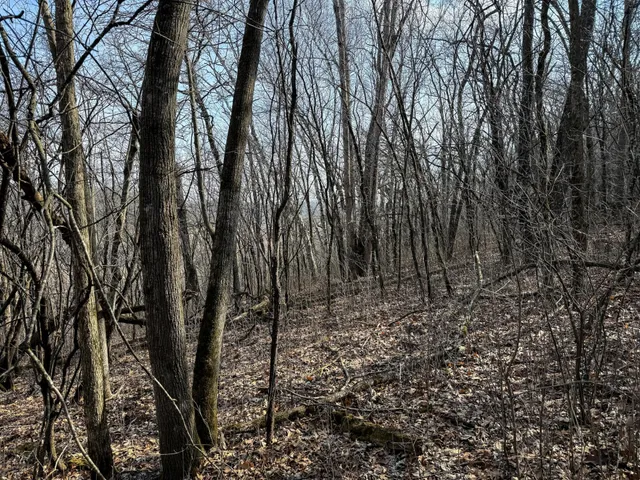 $900,000 | 27466 County 5 Boulevard, Red Wing, MN 55066