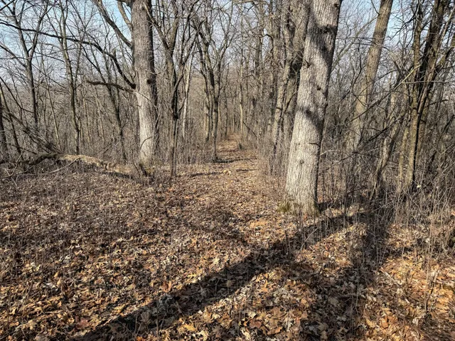 $900,000 | 27466 County 5 Boulevard, Red Wing, MN 55066