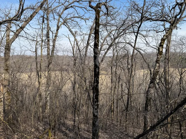 $900,000 | 27466 County 5 Boulevard, Red Wing, MN 55066