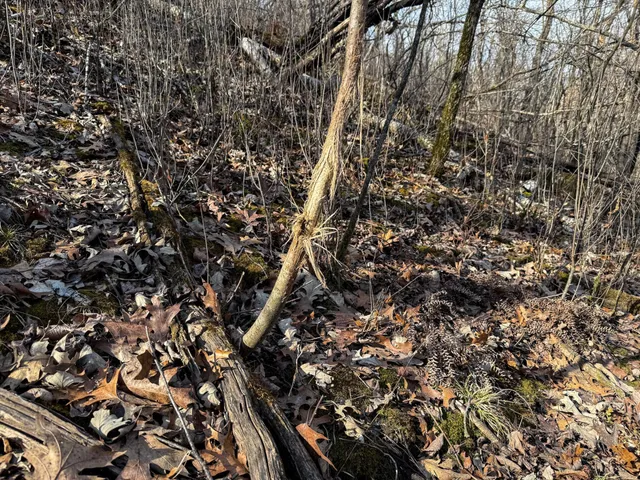 $900,000 | 27466 County 5 Boulevard, Red Wing, MN 55066