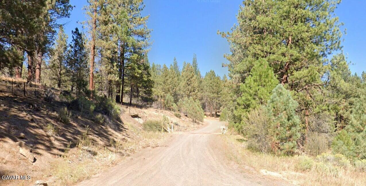 551641 Butte Creek Road Adin, CA 96006 - Photo 1 of 8 005130087 road to lot 2