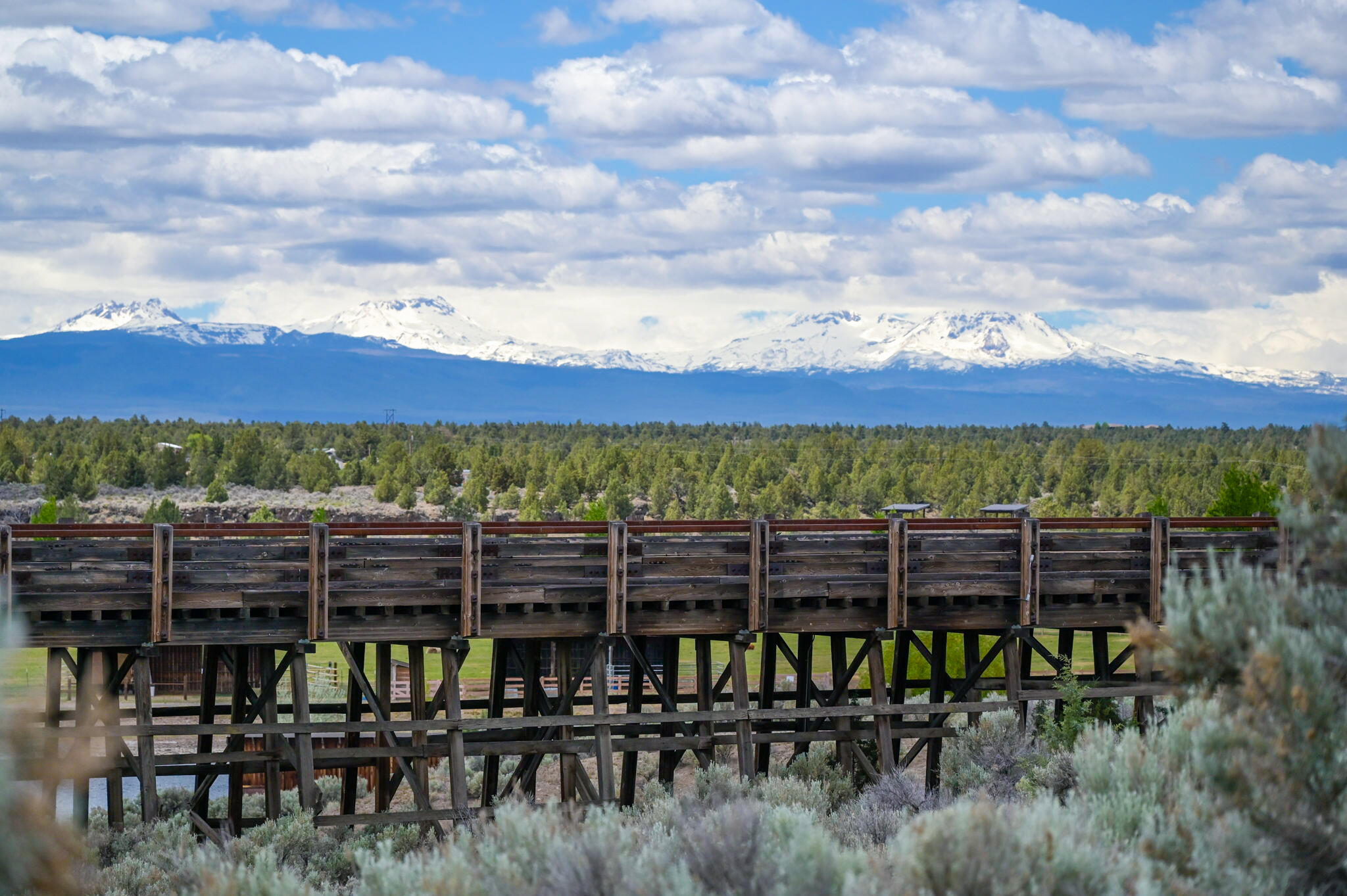 16181 South W Brasada Ranch Road, Unit 115 Powell Butte, OR 97753 - Photo 17 of 25 a view of a backyard with wooden fence