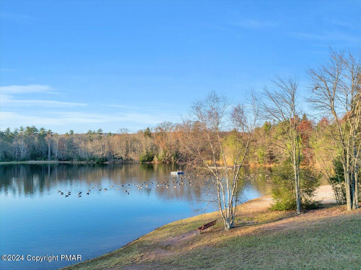 235 Bird Lane Kunkletown, PA 18058 - Photo 30 of 33 a view of a lake with palm trees