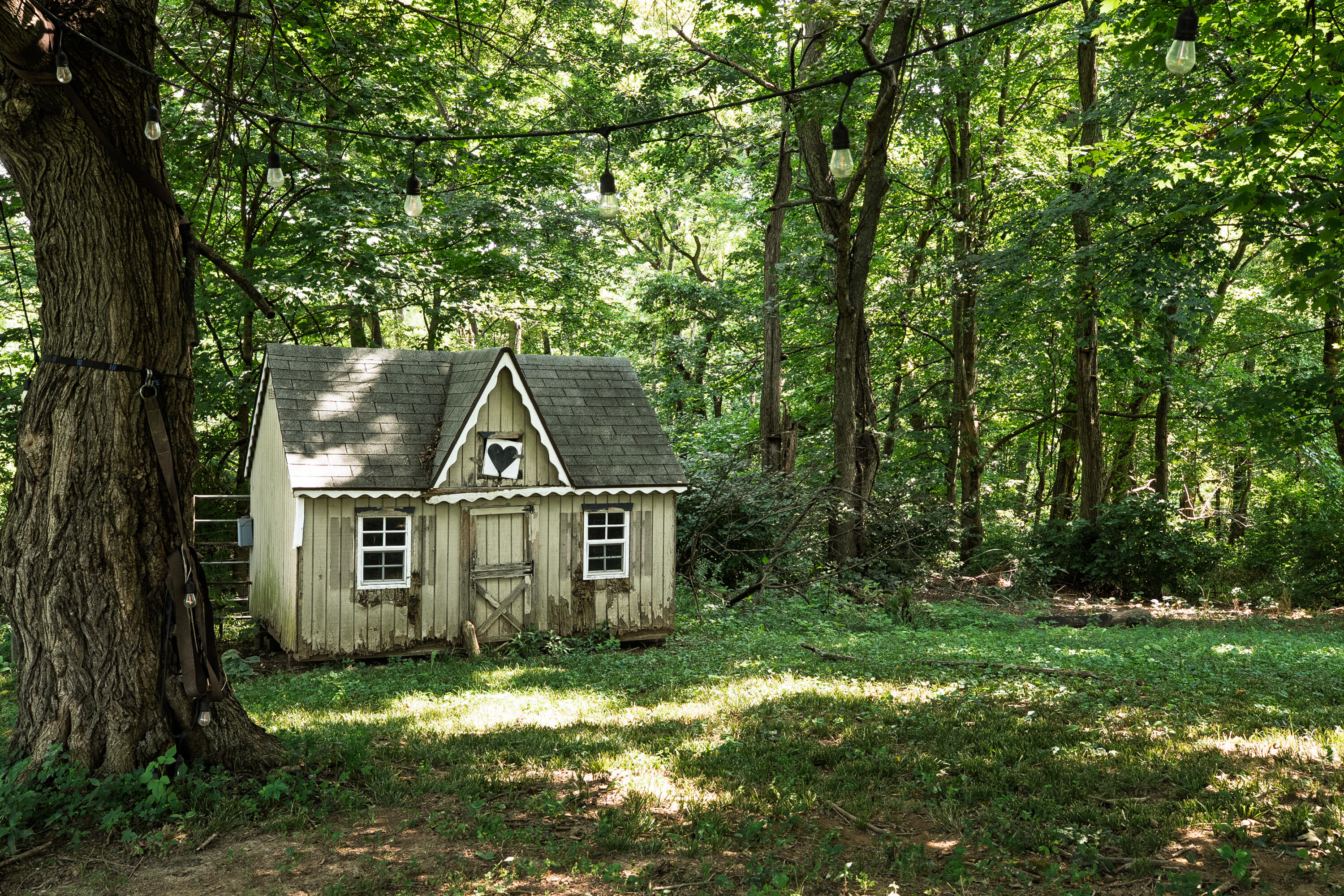 405 Crittenden Mt Zion Road Dry Ridge, KY 41035 - Photo 8 of 47 Critt_Mt Zion-9