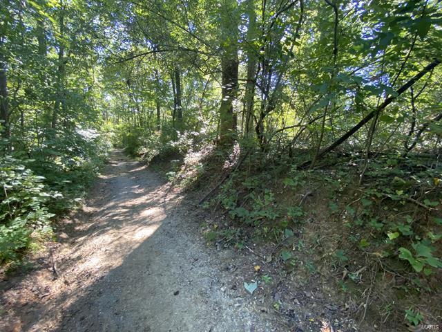 0 High Knob Road Elizabethtown, IL 62931 - Photo 2 of 14