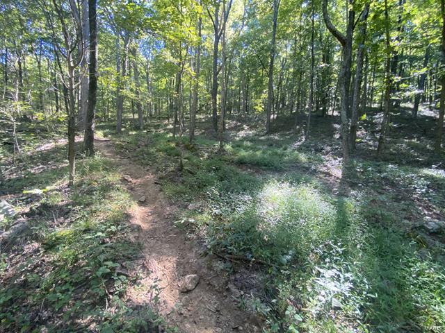 0 High Knob Road Elizabethtown, IL 62931 - Photo 11 of 14