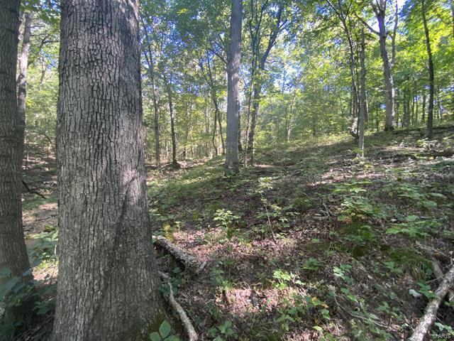 0 High Knob Road Elizabethtown, IL 62931 - Photo 12 of 14