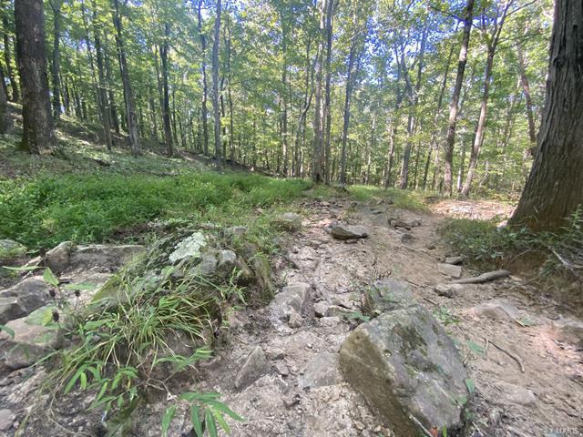 0 High Knob Road Elizabethtown, IL 62931 - Photo 13 of 14