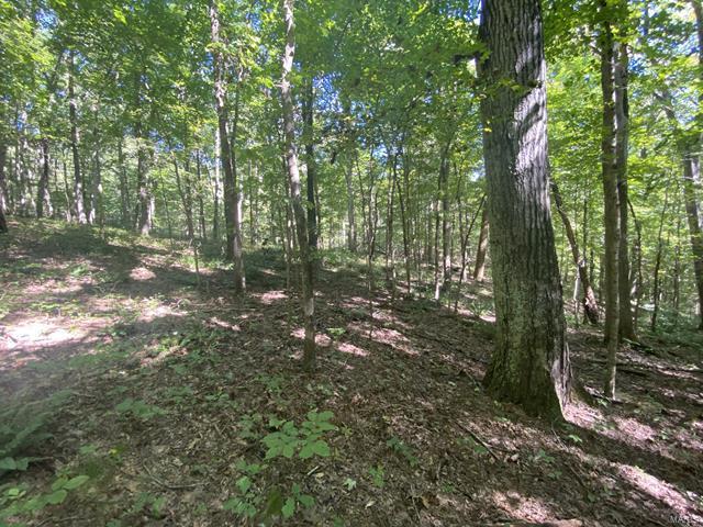 0 High Knob Road Elizabethtown, IL 62931 - Photo 14 of 14