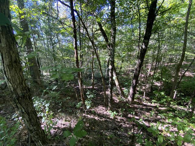 0 High Knob Road Elizabethtown, IL 62931 - Photo 4 of 14