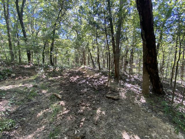 0 High Knob Road Elizabethtown, IL 62931 - Photo 6 of 14