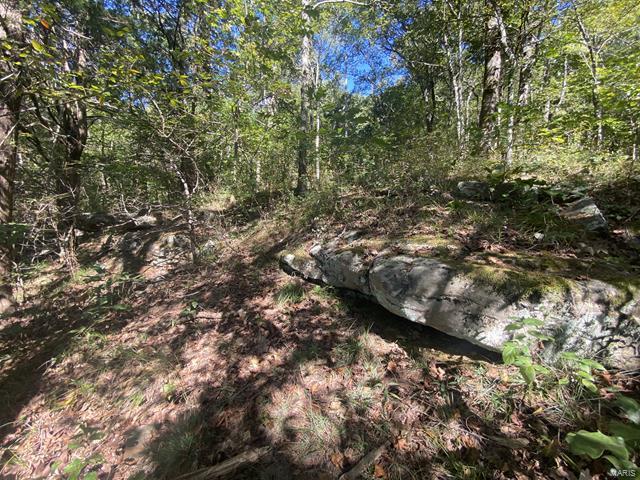 0 High Knob Road Elizabethtown, IL 62931 - Photo 7 of 14
